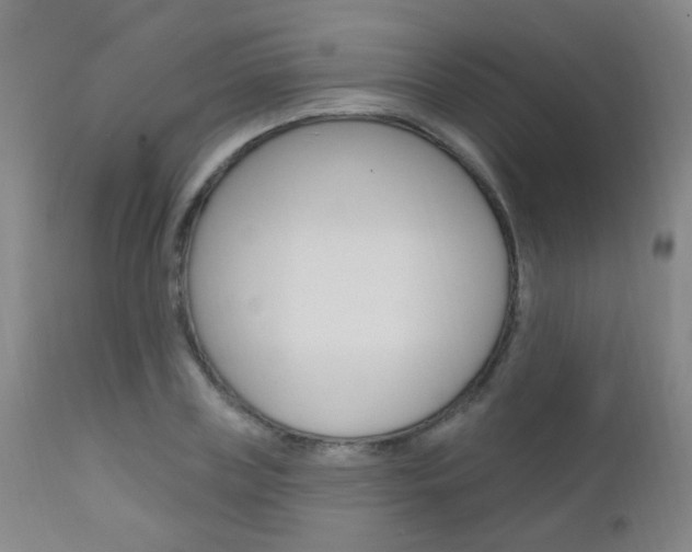 X0000111610835200907171038