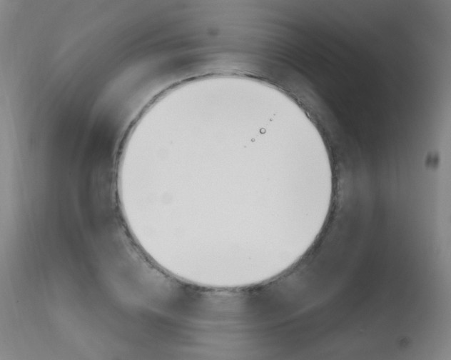X0000111610836200907171038