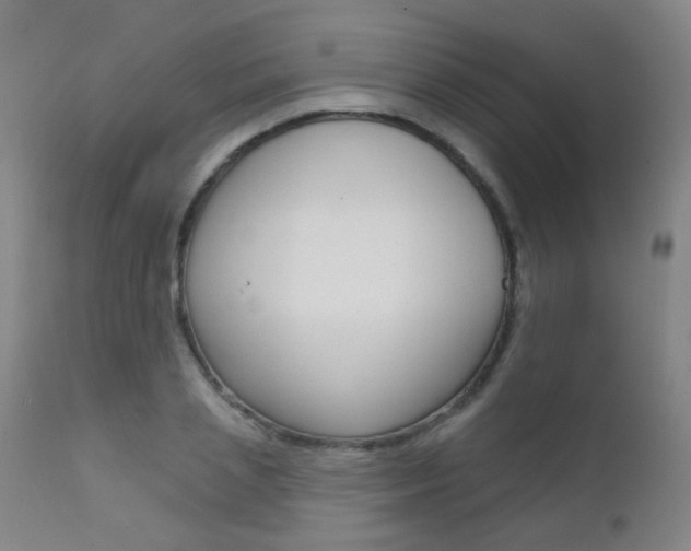 X0000111610837200907171038