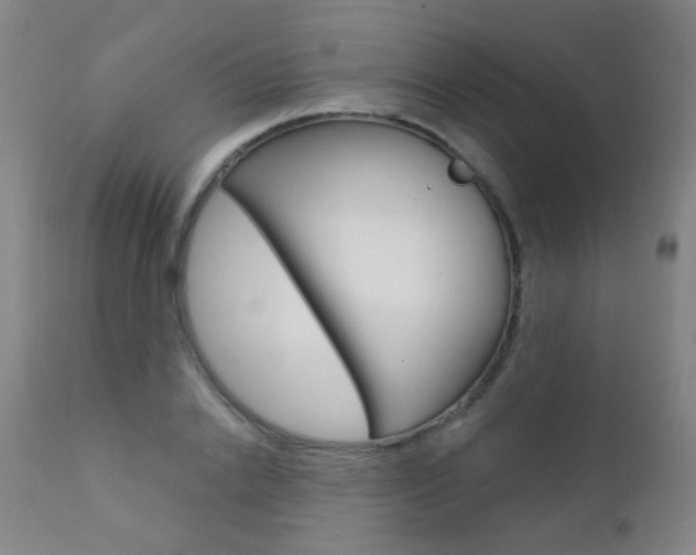 X0000111610838200907171038