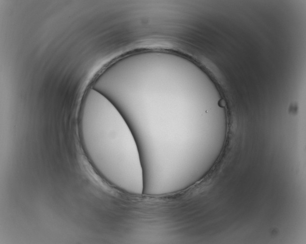 X0000111610840200907171038