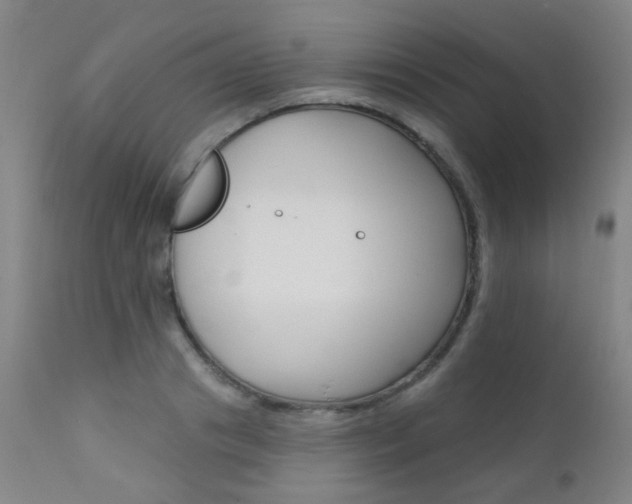 X0000111610841200907171038