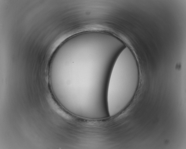 X0000111610843200907171038