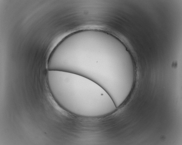X0000111610844200907171038