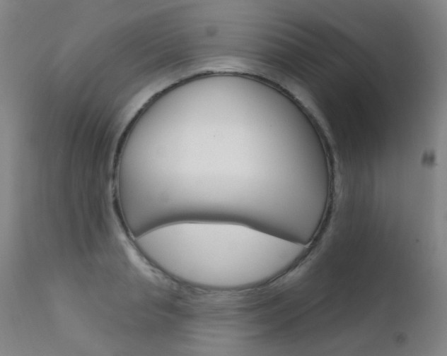 X0000111610845200907171038