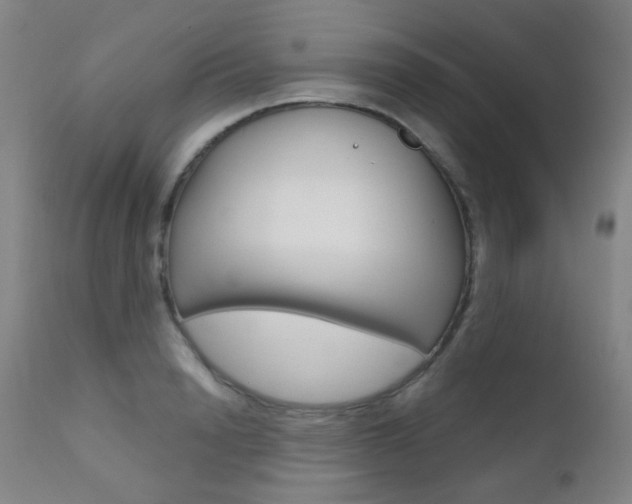X0000111610846200907171038