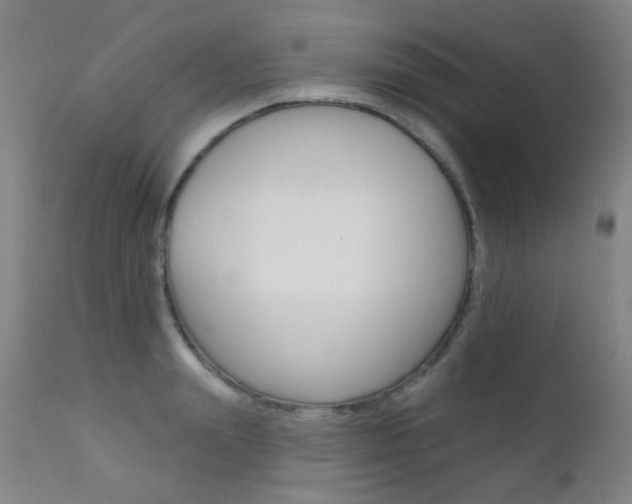 X0000111610847200907171038