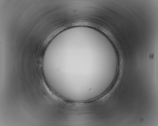 X0000111610849200907171038