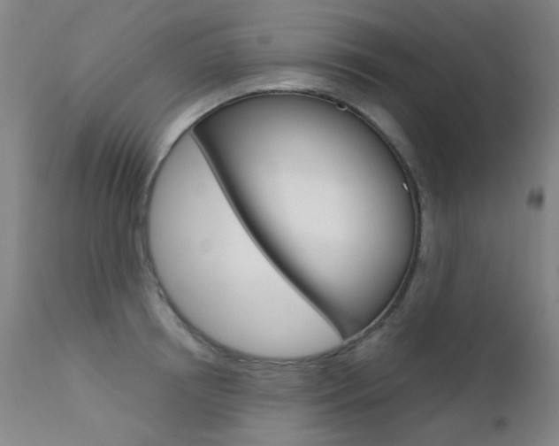 X0000111610850200907171038