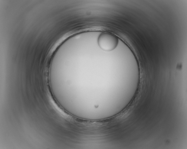 X0000111610851200907171038