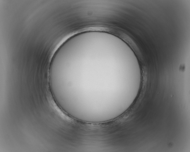 X0000111610852200907171038