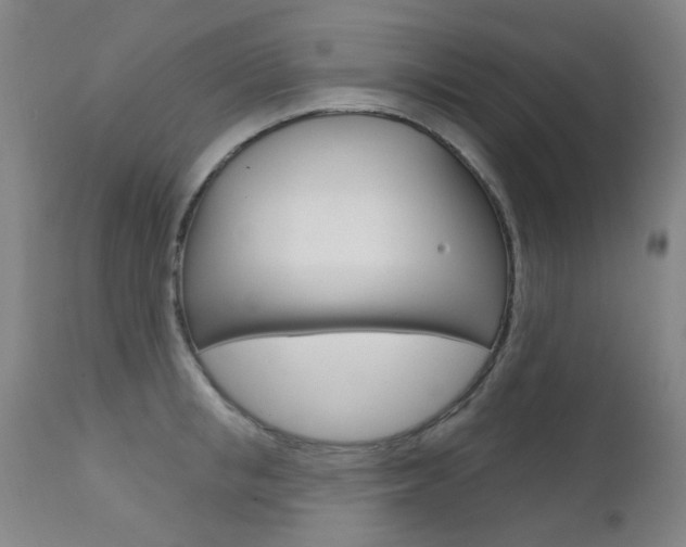 X0000111610853200907171038
