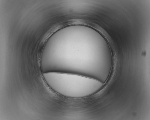 X0000111610857200907171038