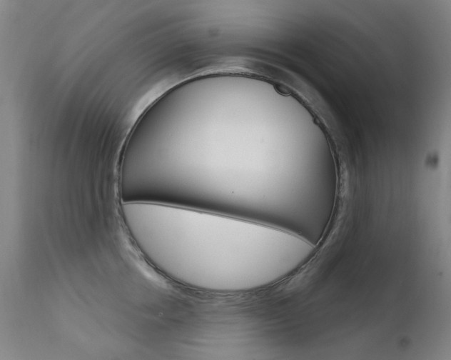 X0000111610858200907171038