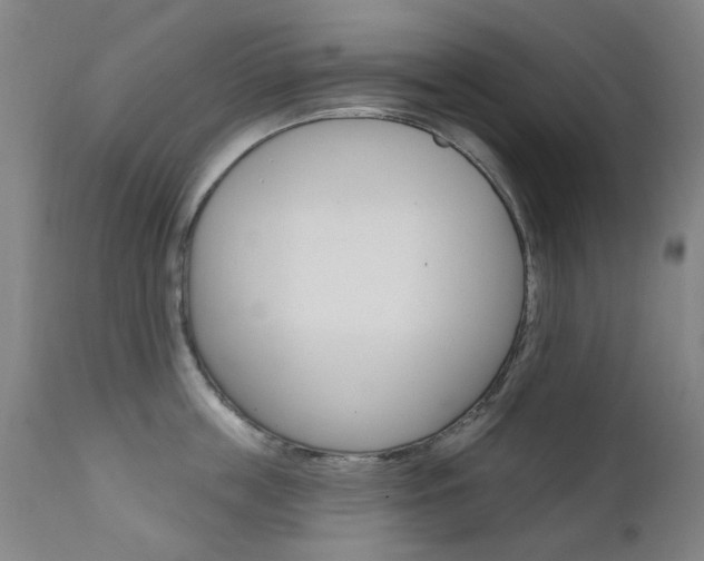 X0000111610859200907171038