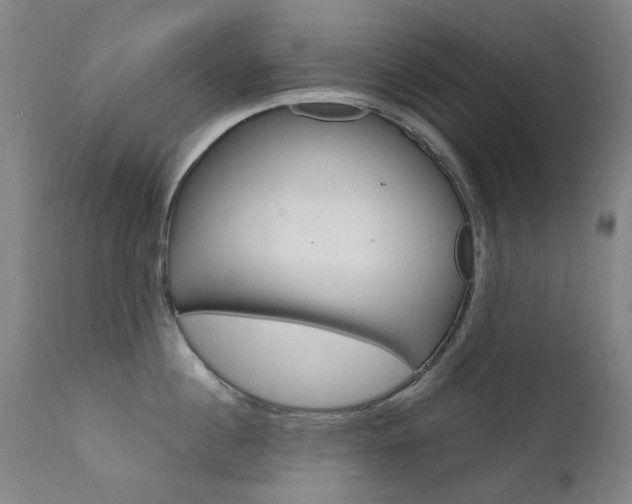 X0000111610860200907171038