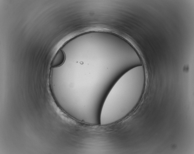 X0000111610861200907171038