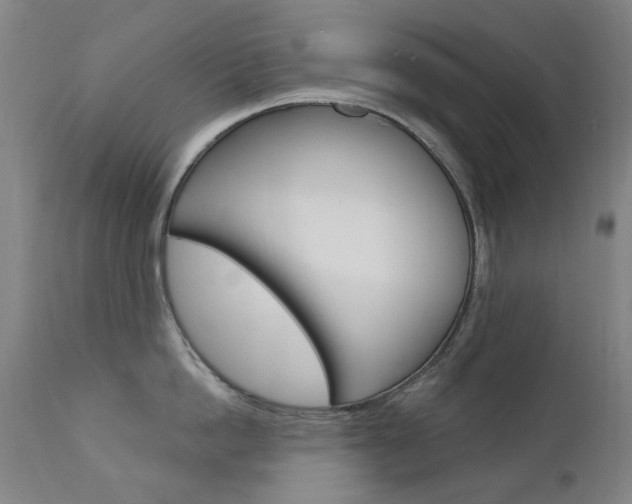 X0000111610862200907171038