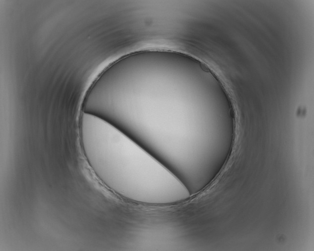 X0000111610864200907171038