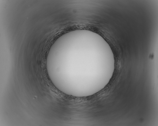 X0000111610865200907171037