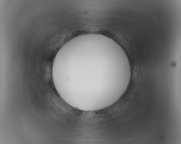 X0000111610866200907171037