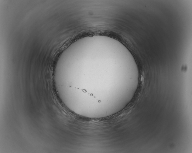 X0000111610867200907171037