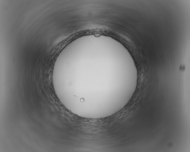 X0000111610869200907171037