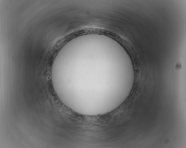 X0000111610870200907171037