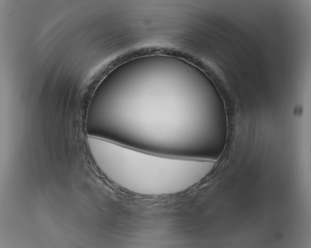 X0000111610872200907171037