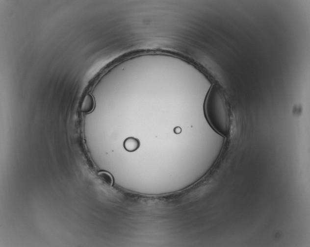 X0000111610876200907171037