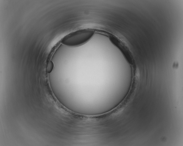 X0000111610877200907171037