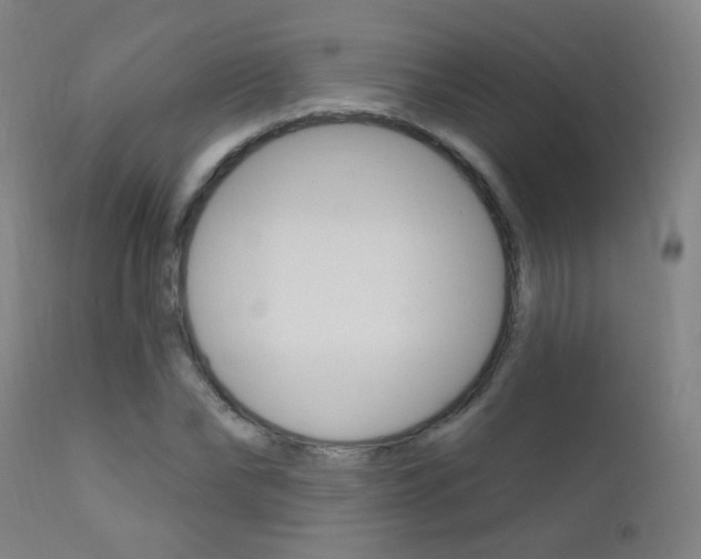 X0000111610878200907171037