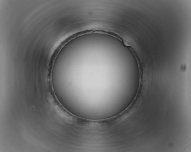 X0000111610880200907171037