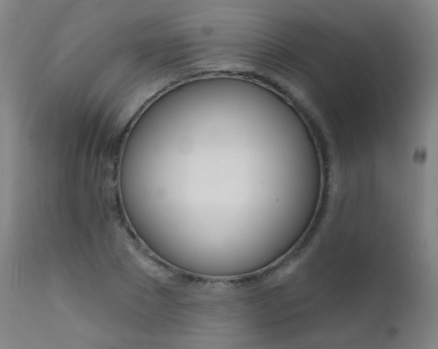 X0000111610881200907171037