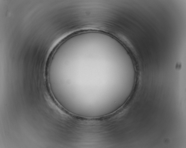 X0000111610884200907171037