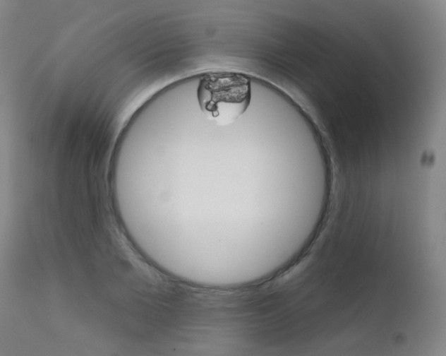 X0000111610885200907171037