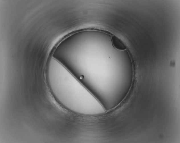 X0000111610888200907171037