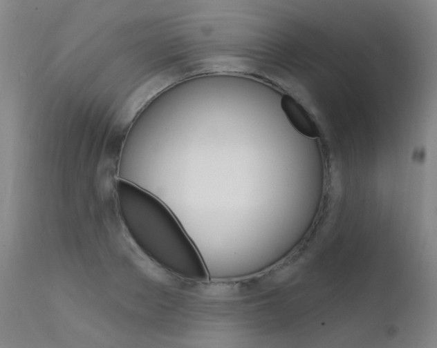 X0000111610889200907171037