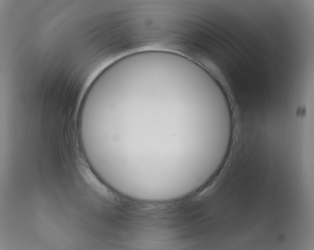 X0000111610892200907171037
