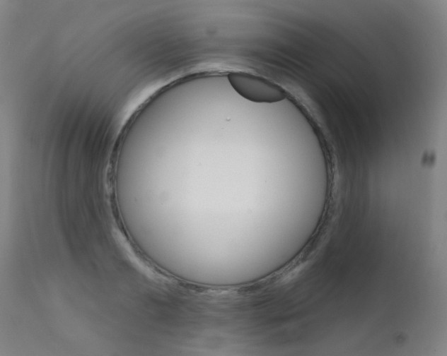 X0000111610893200907171037