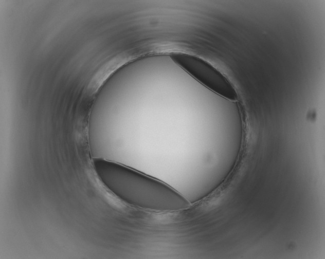 X0000111610897200907171037