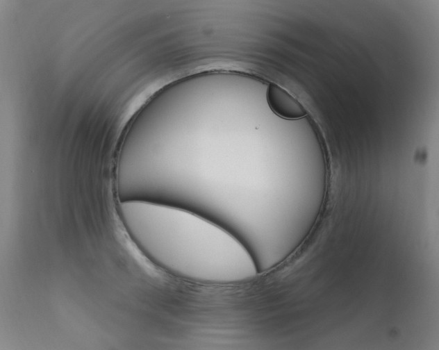 X0000111610898200907171037