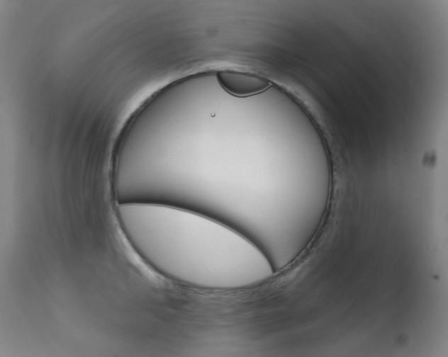 X0000111610902200907171037