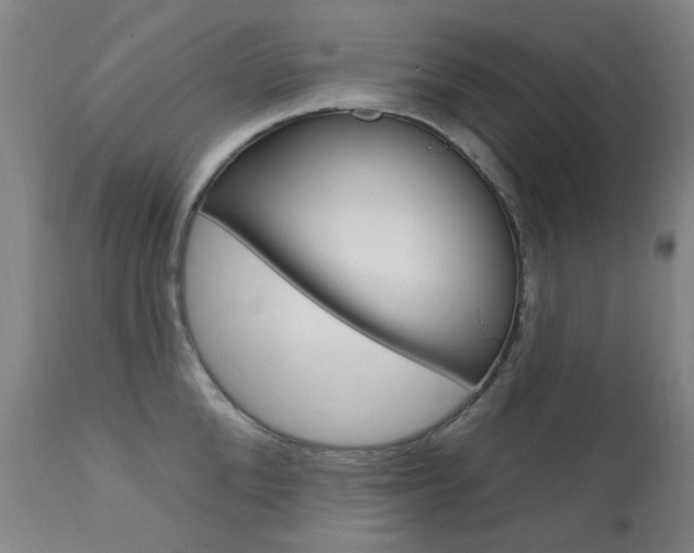 X0000111610904200907171037