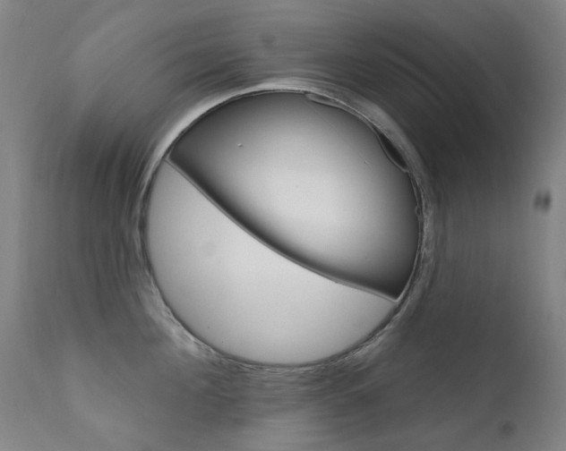 X0000111610908200907171037