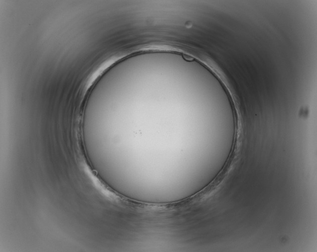 X0000111610909200907171037