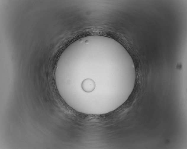 X0000111610913200907171036
