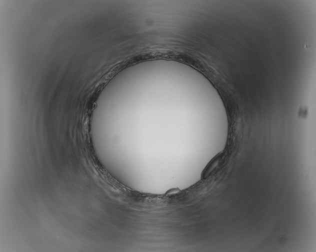 X0000111610914200907171036