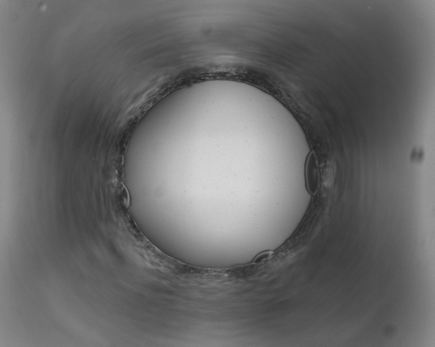 X0000111610916200907171036
