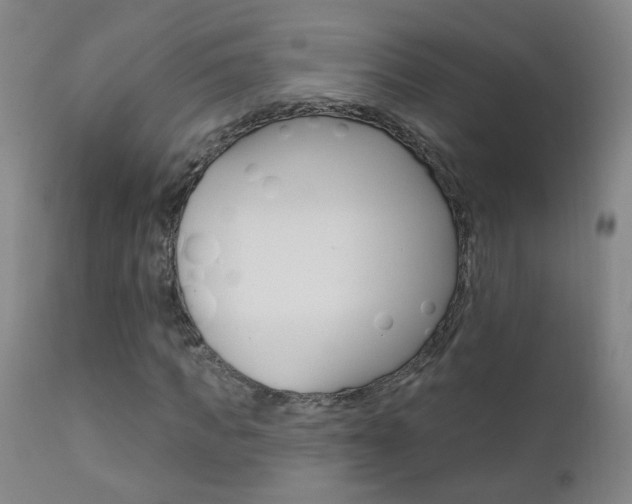 X0000111610917200907171036